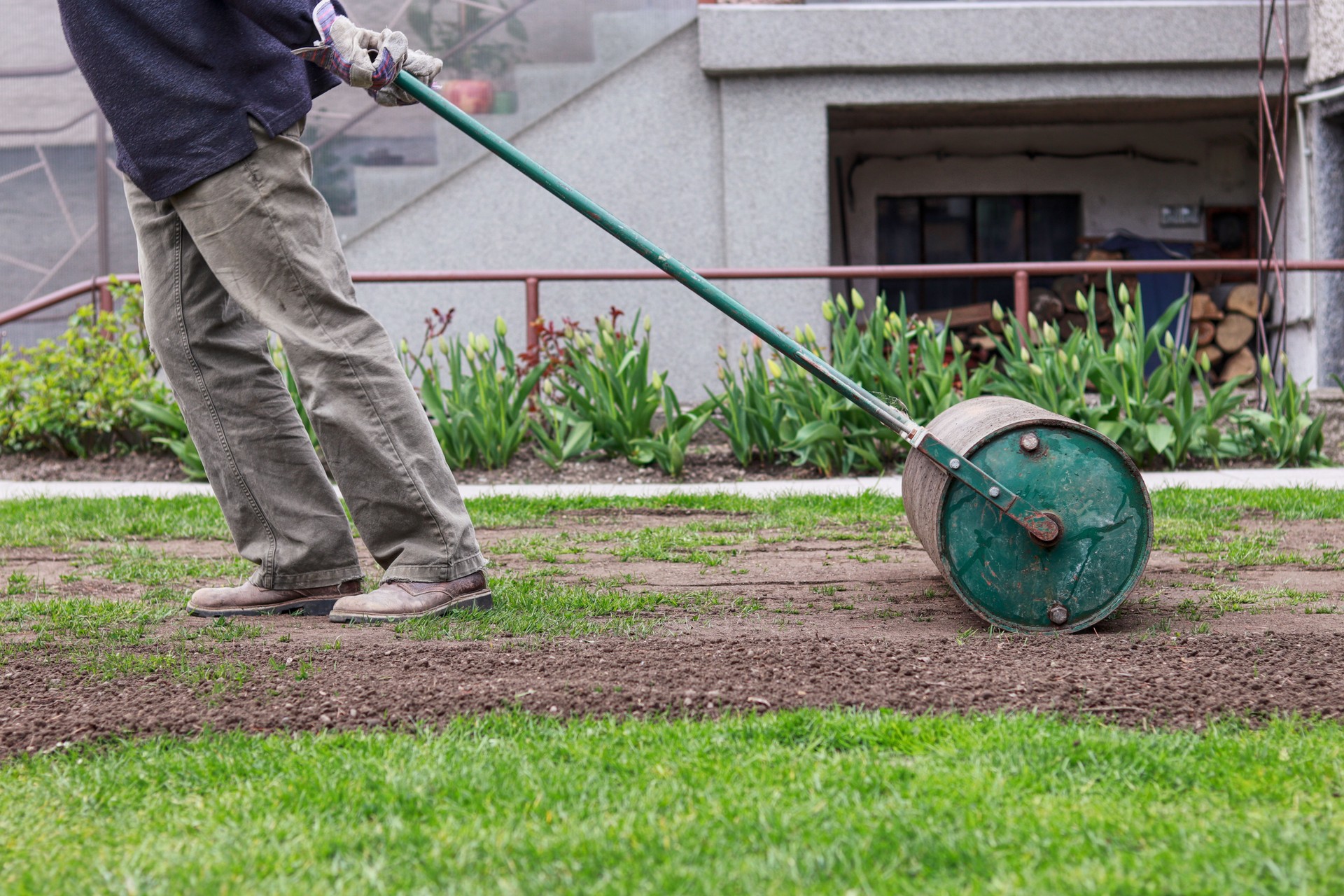 Man in working outfit pulls lawn roller behind. Necessity after long winter and spring for flat surface. Landscaping on the garden. Summer worker.